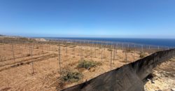 FINCA en venta en Fasnia – Era Nueva