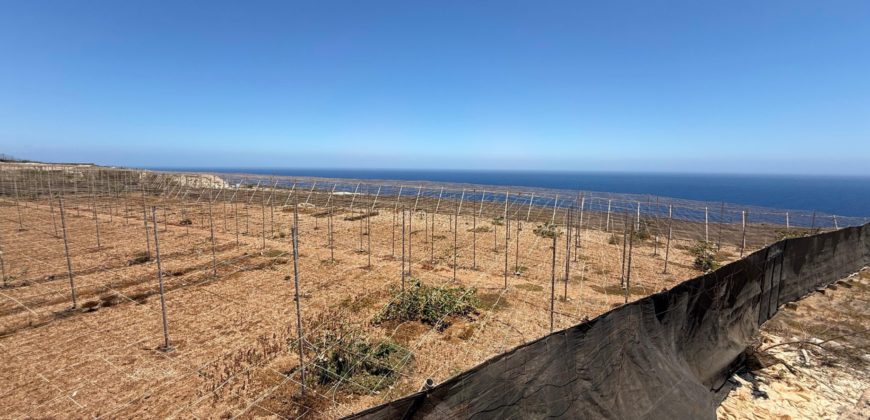 FINCA en venta en Fasnia – Era Nueva