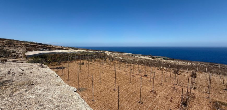 FINCA en venta en Fasnia – Era Nueva