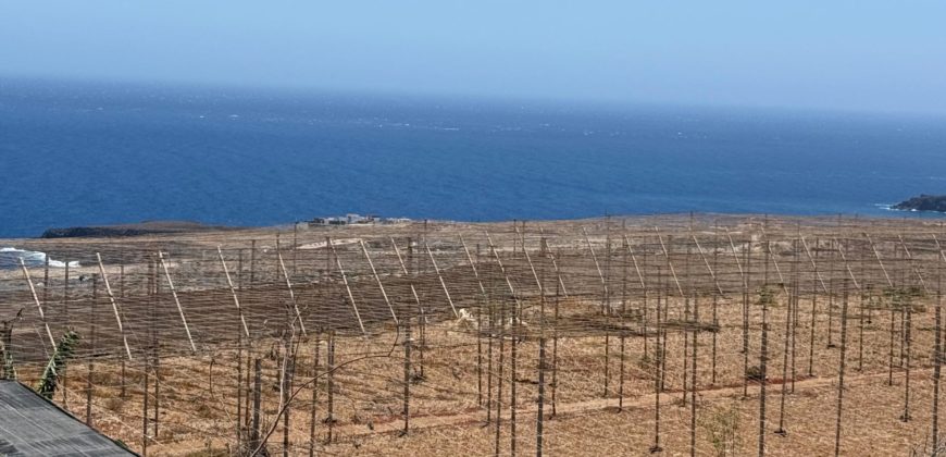 FINCA en venta en Fasnia – Era Nueva