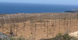 FINCA en venta en Fasnia – Era Nueva