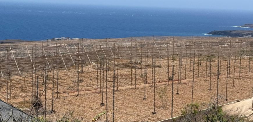 FINCA en venta en Fasnia – Era Nueva