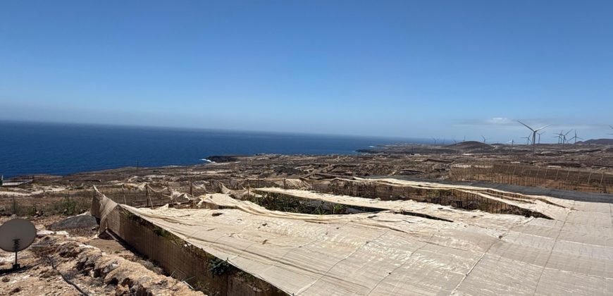 FINCA en venta en Fasnia – Era Nueva