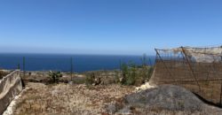 FINCA en venta en Fasnia – Era Nueva