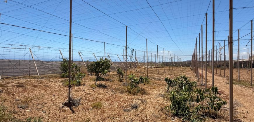 FINCA en venta en Fasnia – Era Nueva