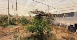 FINCA en venta en Fasnia – Era Nueva