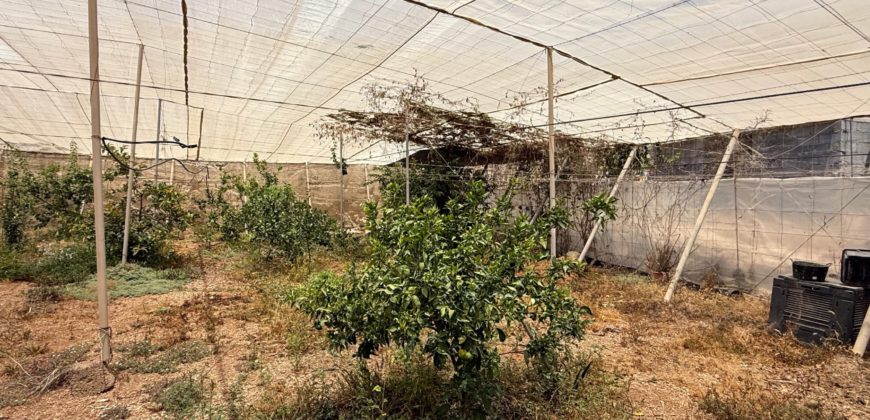 FINCA en venta en Fasnia – Era Nueva