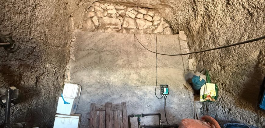 FINCA en venta en Fasnia – Era Nueva