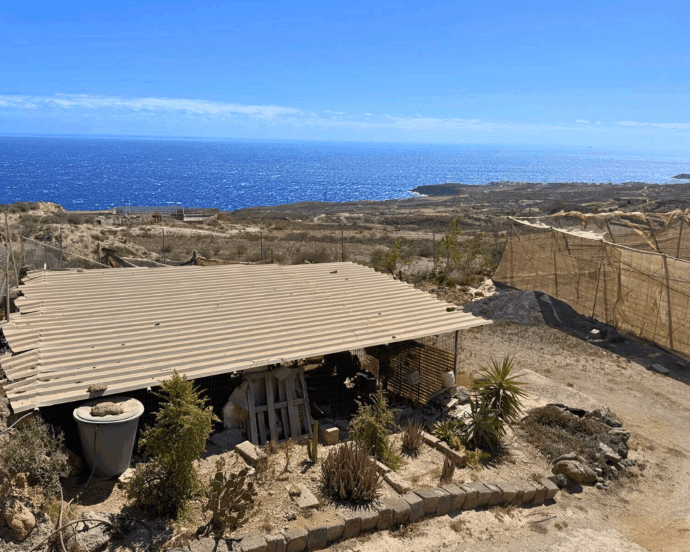 Country Estate for Sale in Fasnia, Tenerife with Ocean Views