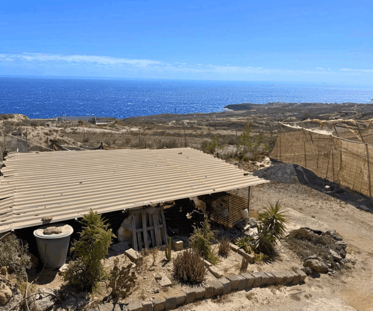 Country Estate for Sale in Fasnia, Tenerife with Ocean Views