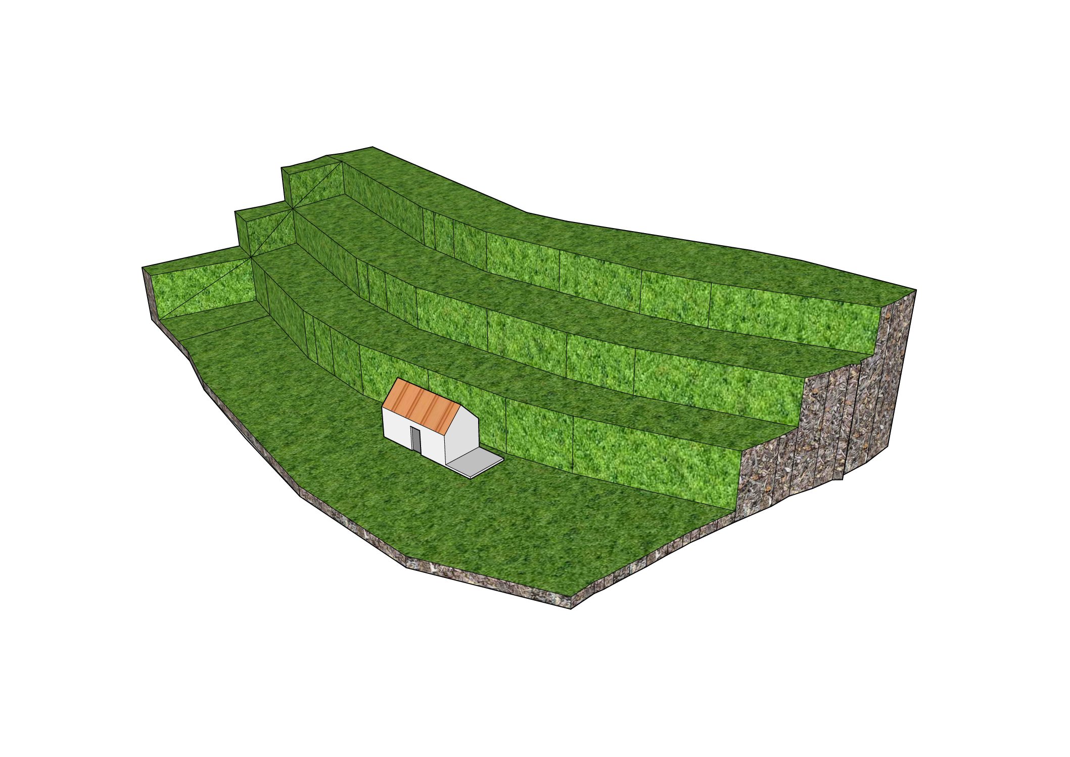 Finca Rústica con Vistas al Océano — La Guancha, Tenerife