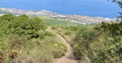 Finca Rústica con Vistas al Océano — La Guancha, Tenerife