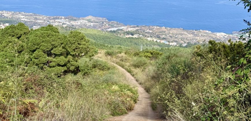Finca Rústica con Vistas al Océano — La Guancha, Tenerife