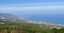 Finca Rústica con Vistas al Océano — La Guancha, Tenerife