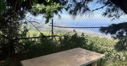 Finca Rústica con Vistas al Océano — La Guancha, Tenerife