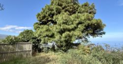 Finca Rústica con Vistas al Océano — La Guancha, Tenerife