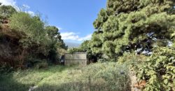 Finca Rústica con Vistas al Océano — La Guancha, Tenerife