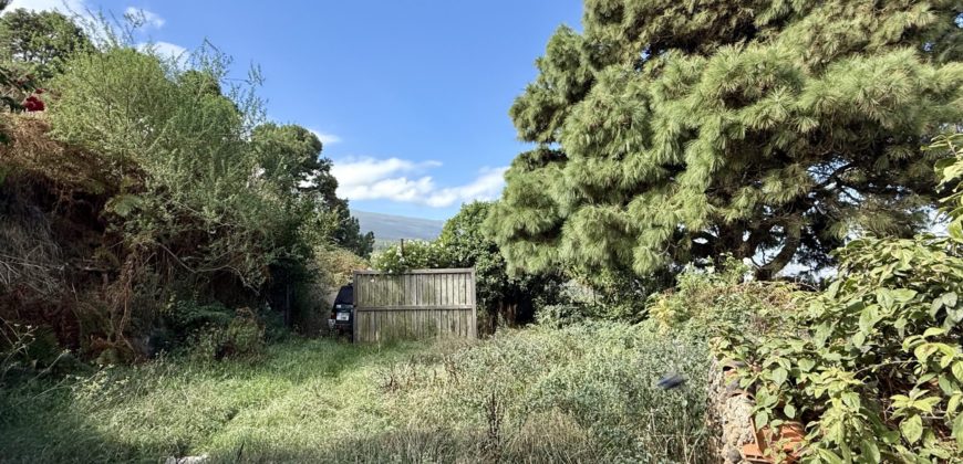 Finca Rústica con Vistas al Océano — La Guancha, Tenerife
