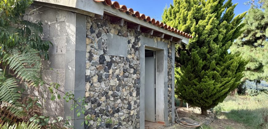 Finca Rústica con Vistas al Océano — La Guancha, Tenerife