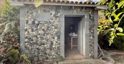 Finca Rústica con Vistas al Océano — La Guancha, Tenerife
