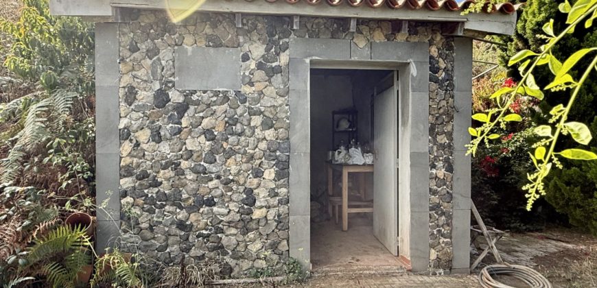 Finca Rústica con Vistas al Océano — La Guancha, Tenerife