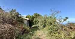 Finca Rústica con Vistas al Océano — La Guancha, Tenerife
