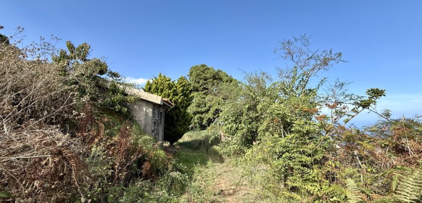Finca Rústica con Vistas al Océano — La Guancha, Tenerife