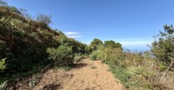 Finca Rústica con Vistas al Océano — La Guancha, Tenerife