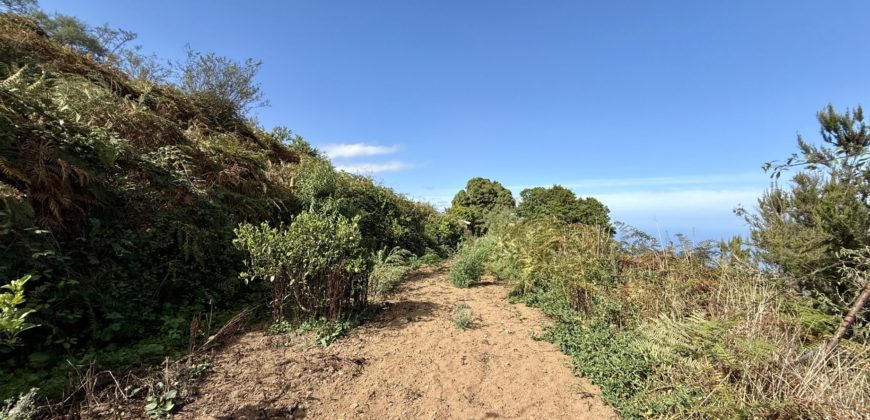 Finca Rústica con Vistas al Océano — La Guancha, Tenerife