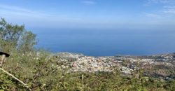 Finca Rústica con Vistas al Océano — La Guancha, Tenerife