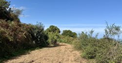 Finca Rústica con Vistas al Océano — La Guancha, Tenerife