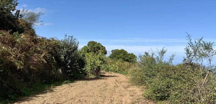 Finca Rústica con Vistas al Océano — La Guancha, Tenerife