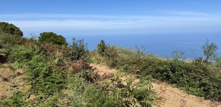 Finca Rústica con Vistas al Océano — La Guancha, Tenerife