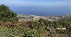 Finca Rústica con Vistas al Océano — La Guancha, Tenerife