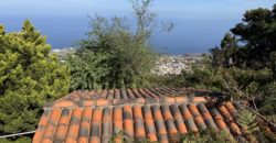 Finca Rústica con Vistas al Océano — La Guancha, Tenerife
