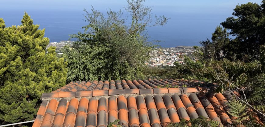 Finca Rústica con Vistas al Océano — La Guancha, Tenerife