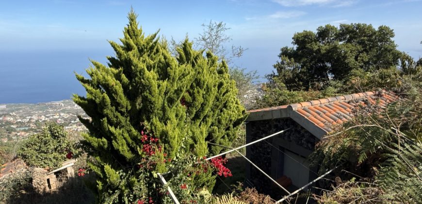 Finca Rústica con Vistas al Océano — La Guancha, Tenerife