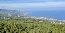 Finca Rústica con Vistas al Océano — La Guancha, Tenerife