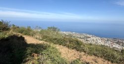 Finca Rústica con Vistas al Océano — La Guancha, Tenerife