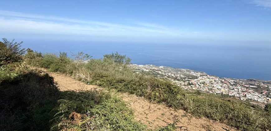 Finca Rústica con Vistas al Océano — La Guancha, Tenerife