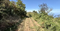 Finca Rústica con Vistas al Océano — La Guancha, Tenerife