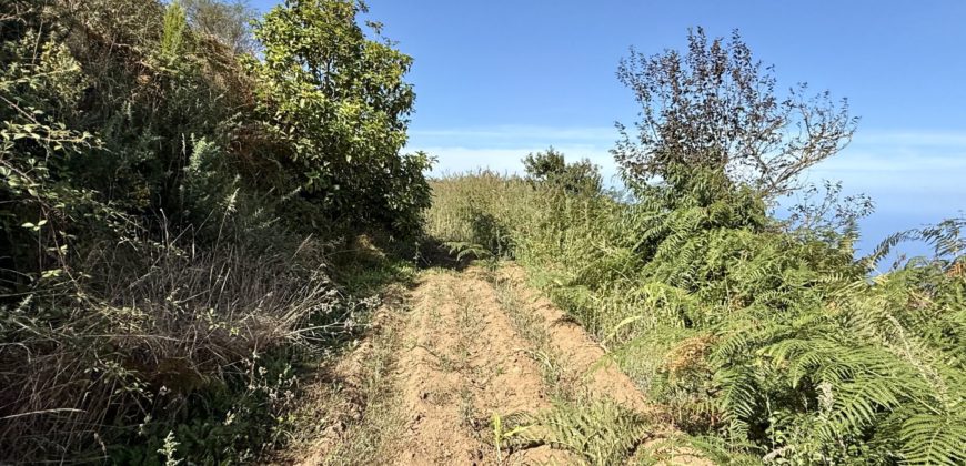 Finca Rústica con Vistas al Océano — La Guancha, Tenerife