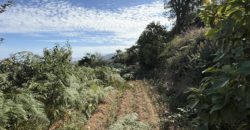 Finca Rústica con Vistas al Océano — La Guancha, Tenerife