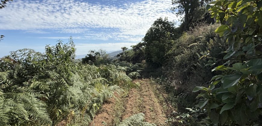 Finca Rústica con Vistas al Océano — La Guancha, Tenerife