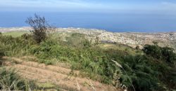 Finca Rústica con Vistas al Océano — La Guancha, Tenerife