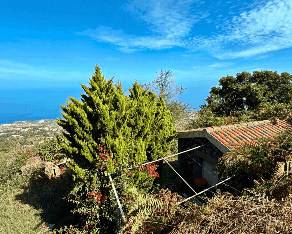 Finca Rústica con Vistas al Océano — La Guancha, Tenerife
