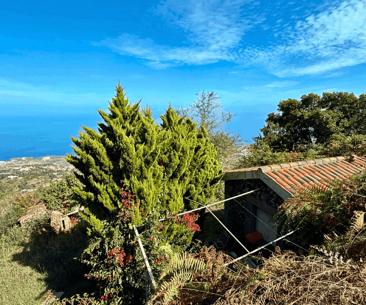 Finca Rústica con Vistas al Océano — La Guancha, Tenerife