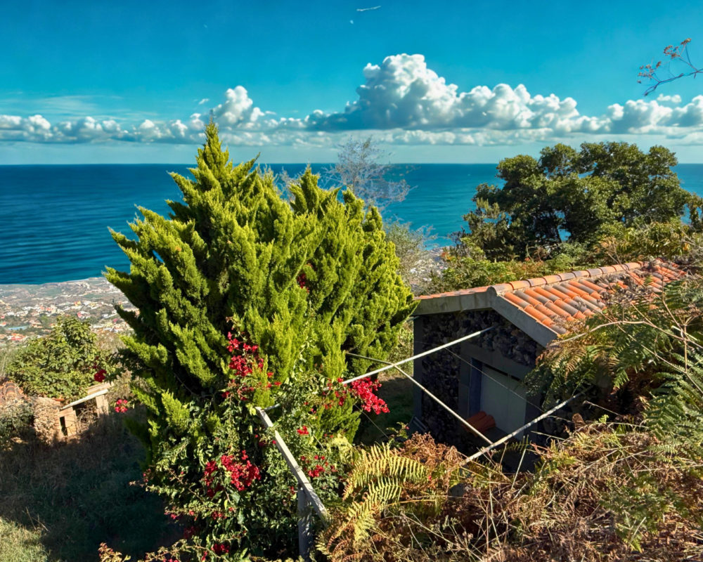 Finca rústica z panoramicznym widokiem na ocean — La Guancha, Teneryfa