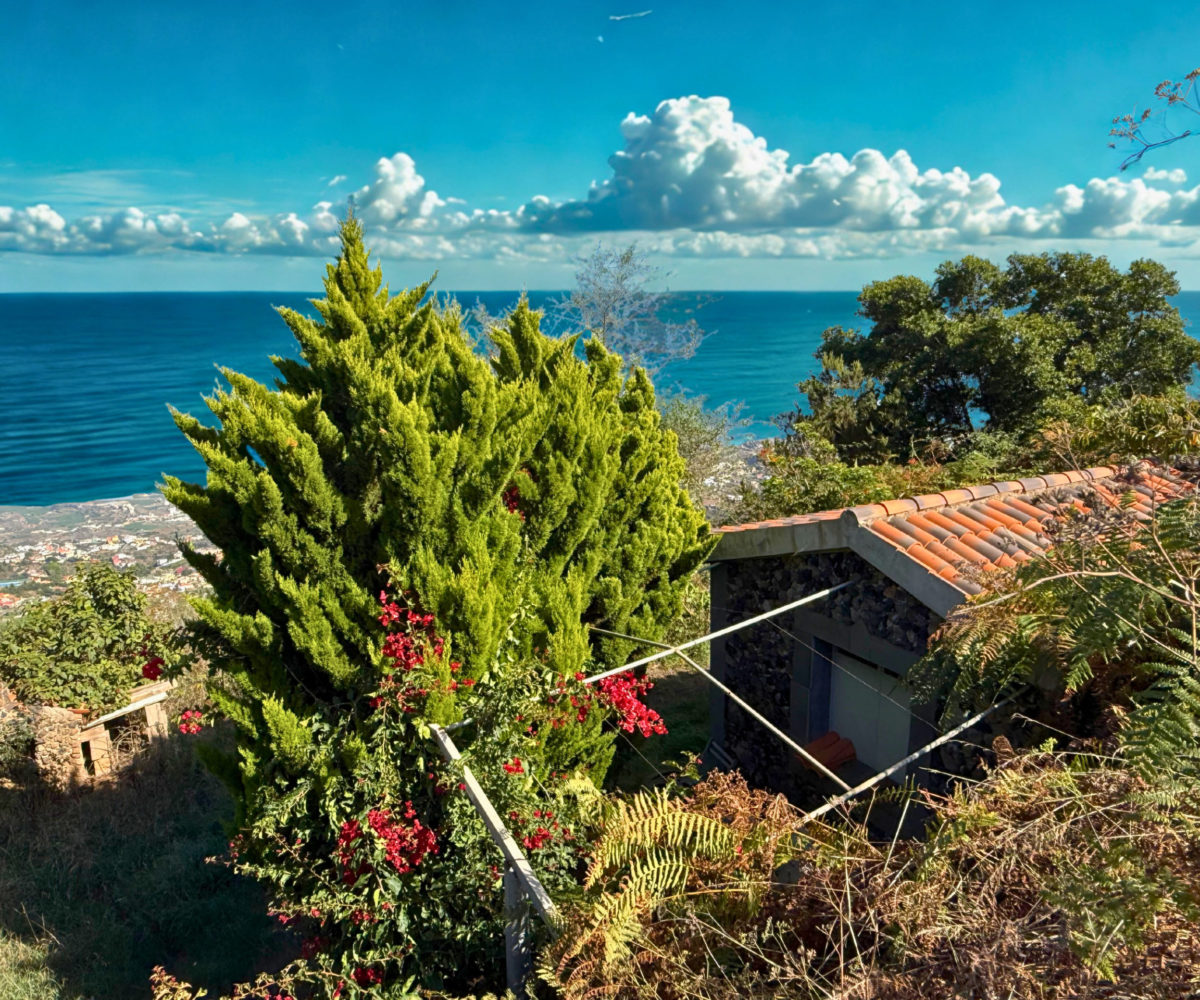 Finca rústica z panoramicznym widokiem na ocean — La Guancha, Teneryfa