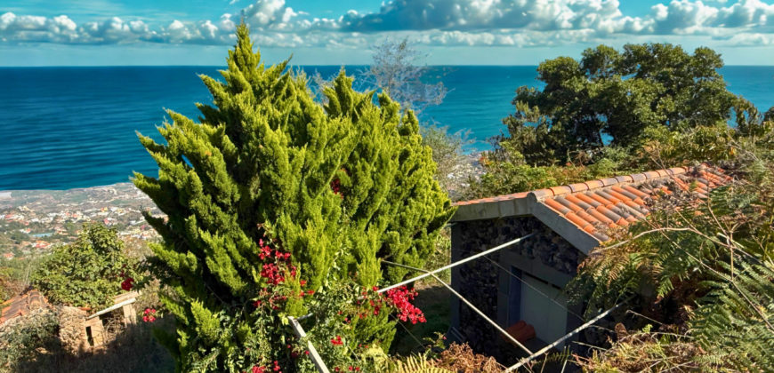 Finca Rústica con Vistas al Océano — La Guancha, Tenerife